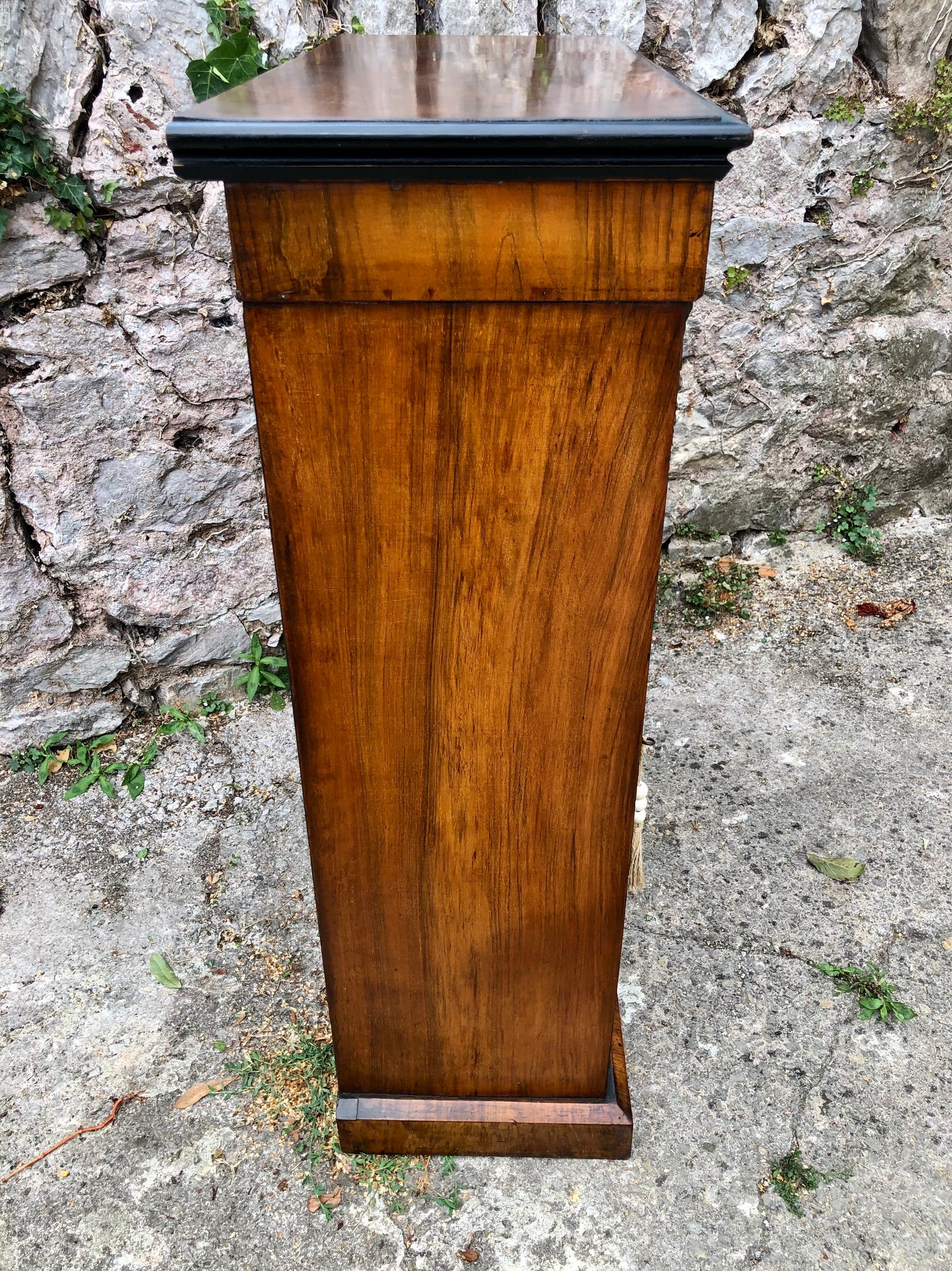 000504....Handsome Antique Walnut Pier Cabinet / Bookcase