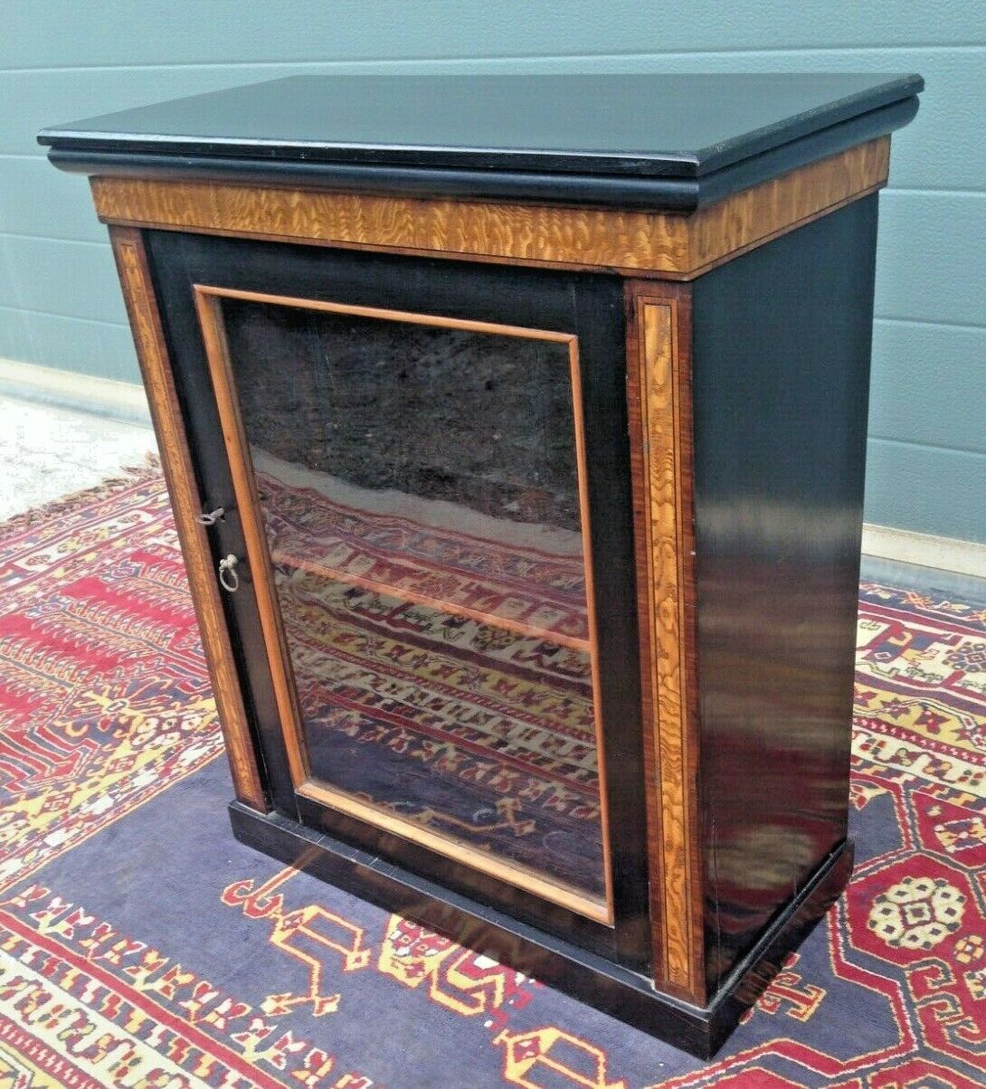 217.....Gorgeous Antique Ebonised Glazed Cabinet / Antique Medicine Cupboard